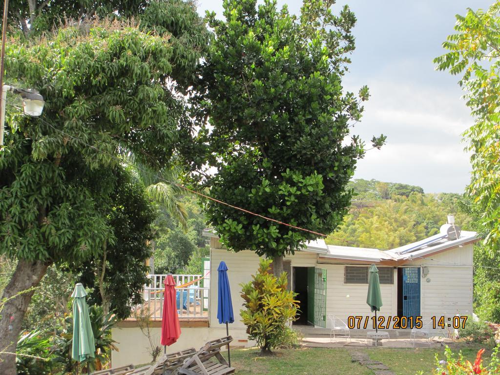 كينغستون Kingsworth Bed And Breakfast المظهر الخارجي الصورة