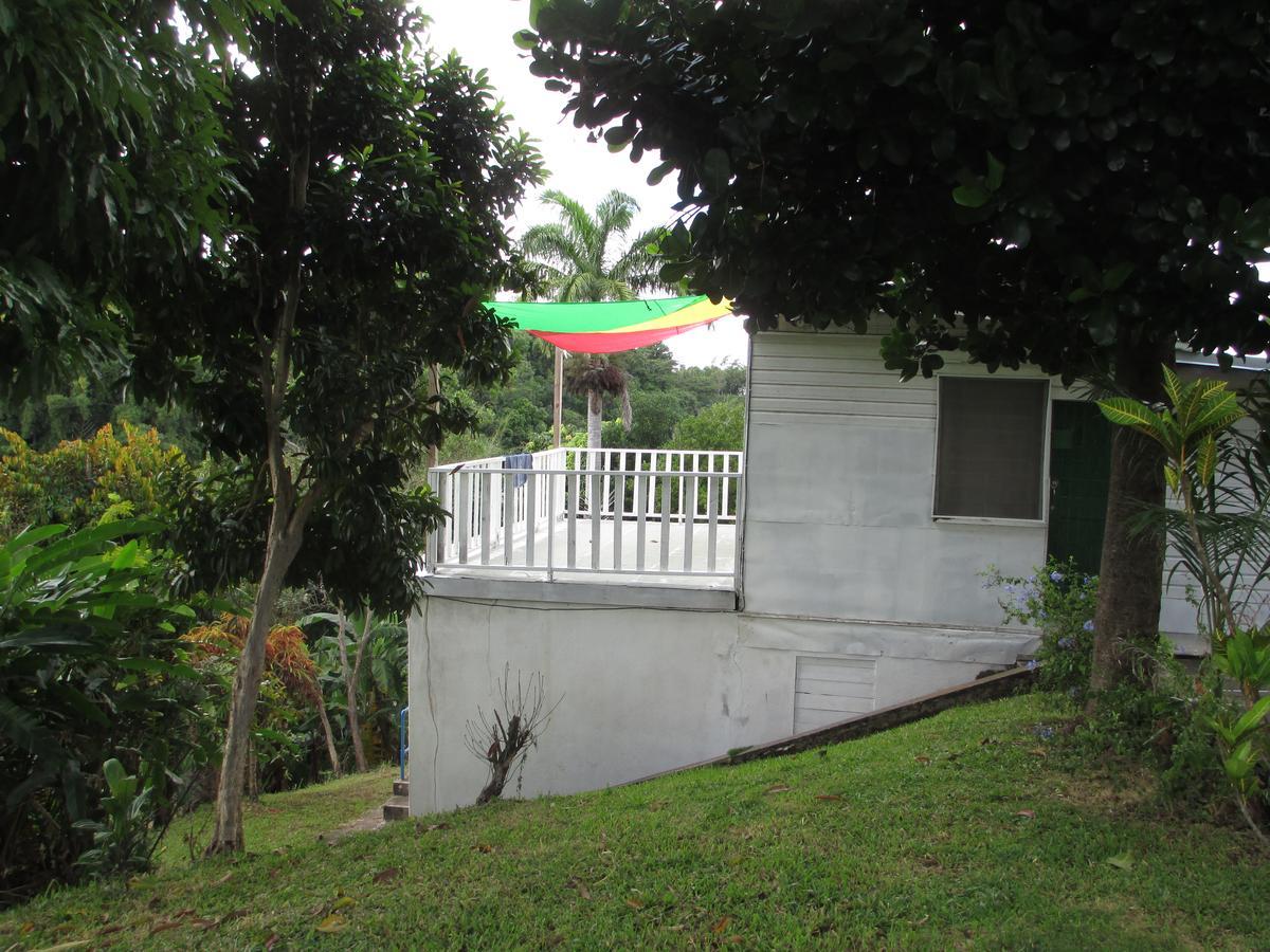 كينغستون Kingsworth Bed And Breakfast المظهر الخارجي الصورة