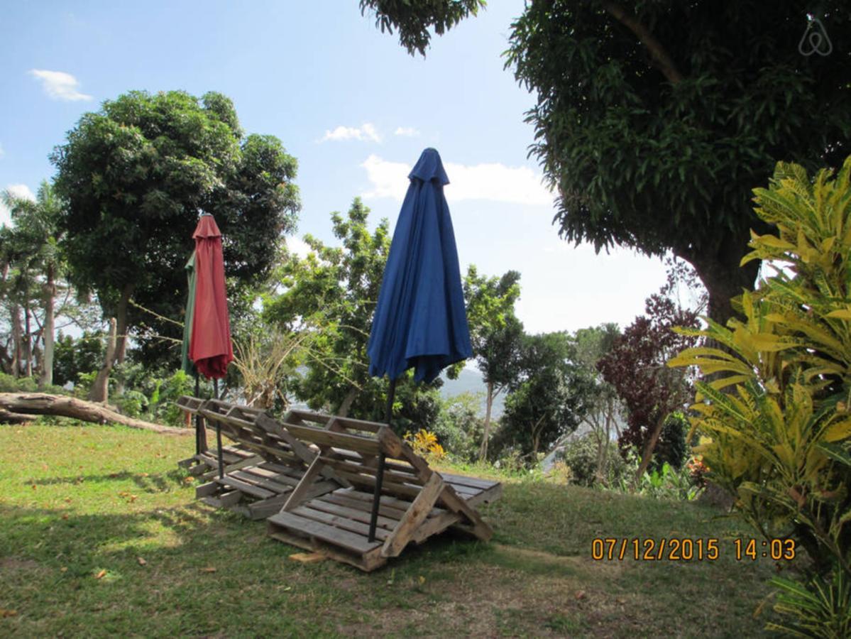 كينغستون Kingsworth Bed And Breakfast المظهر الخارجي الصورة