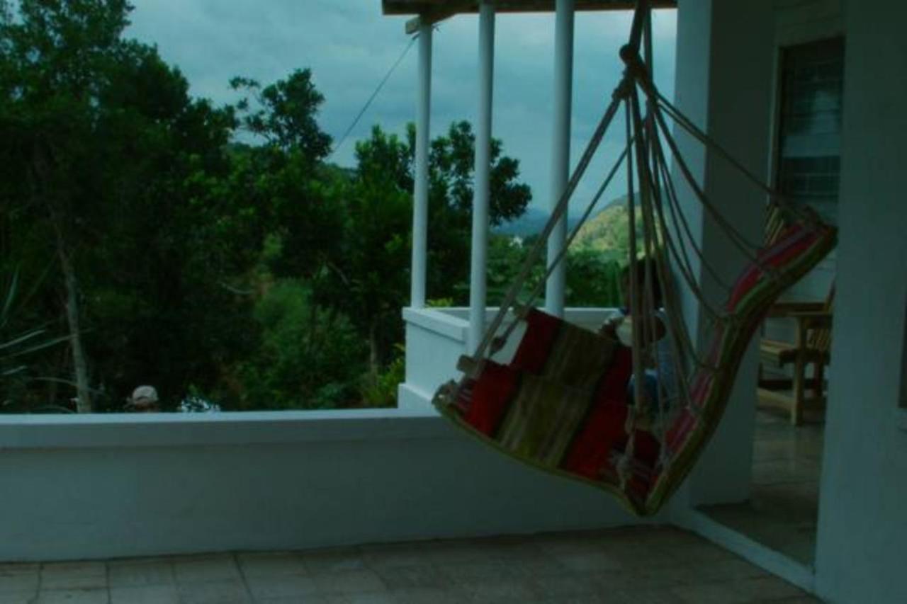 كينغستون Kingsworth Bed And Breakfast المظهر الخارجي الصورة